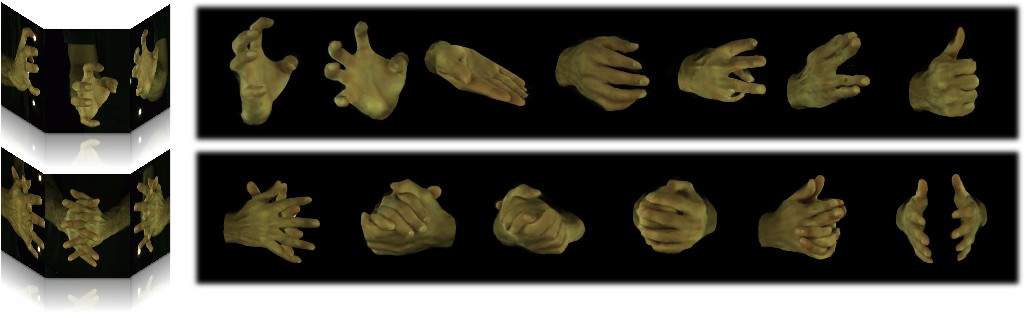 HandNeRF